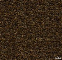 232974_5736.webp thumb image