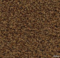 232975_5716.webp thumb image