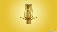 W_SOS_Allegretto-Assai.jpg thumb image
