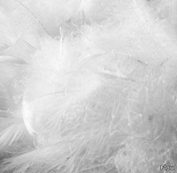 Goose-feather-duvet-Flou-113138-reld5d7f850.jpg thumb image