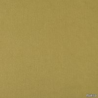 212-Emotion.jpg thumb image