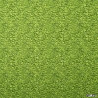6147_Stretchy_204012.jpg thumb image