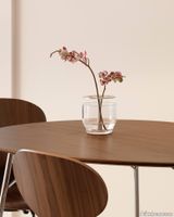 fh_egg_table_walnut_ant_chair_walnut_kaiser_idell_pendant_ikebana_vase_small_rgb.jpg thumb image