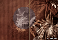 LA-FLEUR-GLAMORA-497378-rel541c6e3e.jpg thumb image
