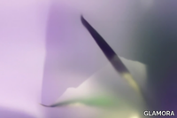 NARCISO-GLAMORA-428687-rel91399d8f.jpg thumb image