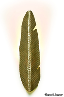 bananas-wall-lamp-ginger-jagger-371286-relb749f0cf.jpg thumb image