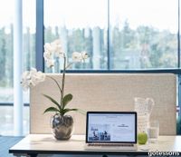 P_160010_Orkide_Phalaenopsis_gotessons.jpg thumb image