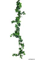 P_160067_Ivy_garland_gotessons.jpg thumb image