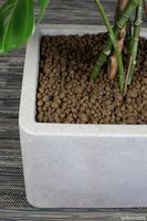 P_160095_Leca_img2.jpg thumb image