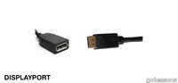 P_700614_Displayport_Hona_Hane.jpg thumb image