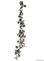 P_Fittonia_girlang_burgundy.jpg thumb image