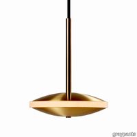 Graypants_Chrona_Dish6h_Pendant_Brass_2.jpg thumb image