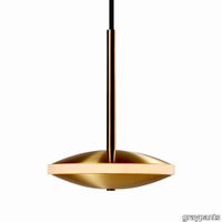 Graypants_Chrona_Dish6h_Pendant_Brass_2.jpg thumb image