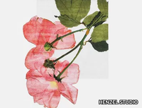 h_HENZEL-STUDIO_ENGLISH-ROSE_plReJFBF8d.jpeg thumb image