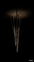 SKYFALL-Henge-580759-reld4bf281e.jpg thumb image