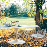 BERTOIA-SIDE-CHAIR-OUTDOOR-KNOLL-481861-rel991a8dc5.jpg thumb image