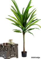 53072-KARE-Design-578410-rel40eaff55.jpg thumb image