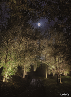 VERCLE-CIRCULAR-LEDS-C4-526588-rel8df90d86.jpg thumb image