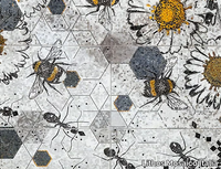 ANTS-BEES-Lithos-Mosaico-Italia-Lithos-328280-relea433a59.jpg thumb image