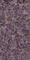 PURPLE-GEM-MILLE997-539366-rela62c199a.jpg thumb image