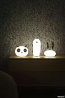 Pet_lights_ON.webp thumb image