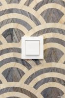 Wireless-Wall-Swith-on-lucky-o-wallcovering-detail.webp thumb image