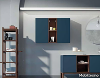 SU16-Bathroom-wall-cabinet-Mobiltesino-369677-reldfc55098.jpg thumb image