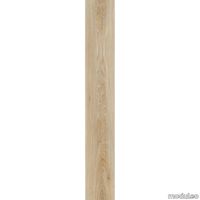 44A943CA13615F4BB40A49607B0CE453 thumb image