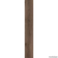 7CBE8B63C27C745017C5FAE2F19AA8F6 thumb image