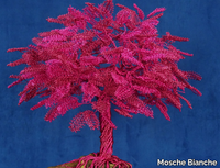 Mosche-Bianche_JAPANESE-BLOSSOM_XnX64IFPhf.jpeg thumb image