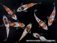 h_koi-v-novocuadro-sl-424122-reldab77f5a.jpg thumb image