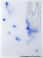 liana-azul-novocuadro-612261-rela4db0faf.jpg thumb image