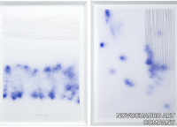 liana-azul-novocuadro-612261-relda40f54c.png thumb image