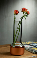 vase-nude-glass-358715-rel720b41fc.jpg thumb image