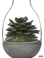 eden-mini-terrarium-nude-glass-358846-relf26fcbf6.jpg thumb image
