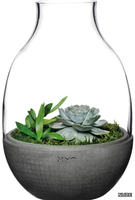 eden-terrarium-nude-glass-358847-rel933392db.jpg thumb image