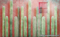 CACTUS-Officinarkitettura-349643-relf7e513f6.jpg thumb image