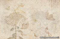 JAPANESE-GARDEN-Officinarkitettura-365513-relf393684d.jpg thumb image