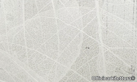 LEAF-Officinarkitettura-365542-rela8ca9dfb.jpg thumb image