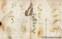 NATURE-BOOK-Officinarkitettura-349661-relb38bab75.jpg thumb image