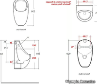 URINAL-ECO-Olympia-Ceramica-466643-dim86f9a648.jpg thumb image