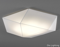 CLONE-Ole-Iluminación-512623-rel8ae9afde.jpg thumb image