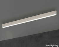 linear-lighting-profile-fm-iluminacion-513658-rel71c7dcaa.jpg thumb image