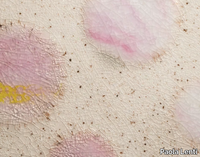 pois-paola-lenti-602823-rel245083cb.jpg thumb image