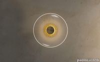 Golden-disc-wall-1024x634.jpg thumb image