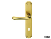 h_gamma-easy-door-handle-on-back-plate-pasini-metals-productions-324055-relca0f226f.jpg thumb image