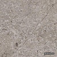 csm_IM0024529_674ee9bbf3.jpg thumb image
