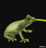 hungry-frog-qeeboo-636869-rel764522f0.png thumb image