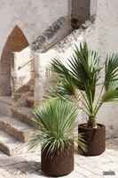 CORTICA-001-RODA-567136-rela0e8cfac.jpg thumb image