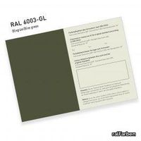 ral-841-gl-6000-6003-innen.jpg thumb image